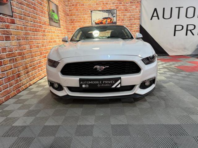 Ford Mustang image 6