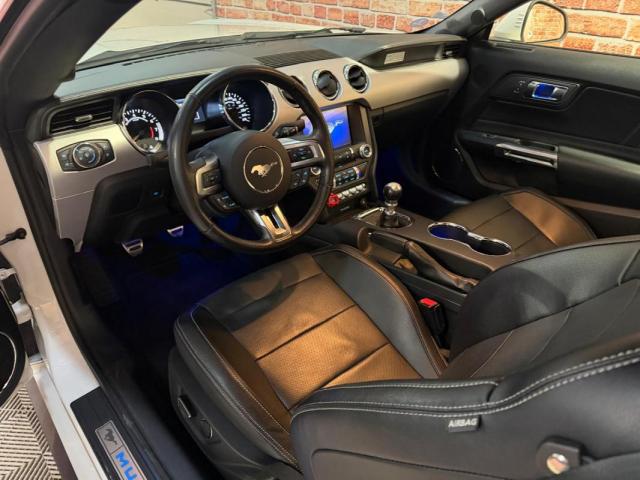 Ford Mustang image 8