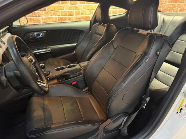 Ford Mustang image 3