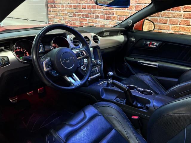 Ford Mustang image 8