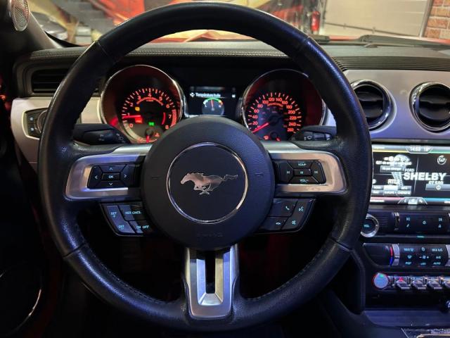 Ford Mustang image 2