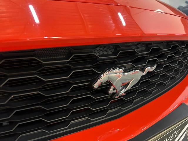 Ford Mustang image 6