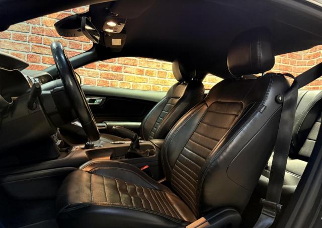 Ford Mustang image 5