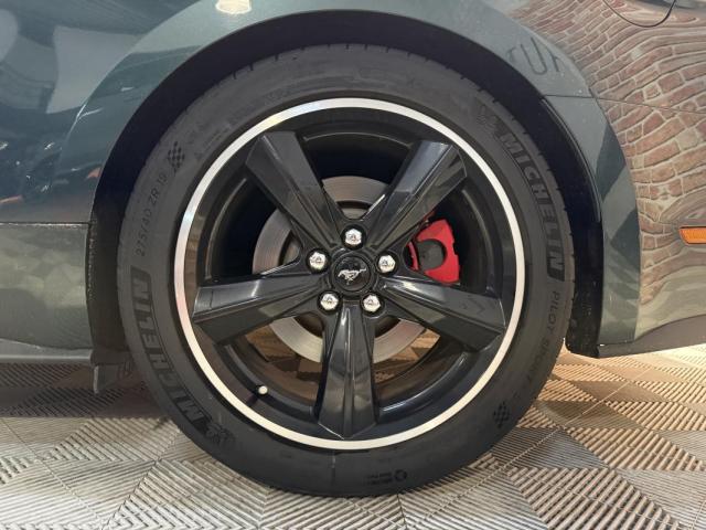 Ford Mustang image 9