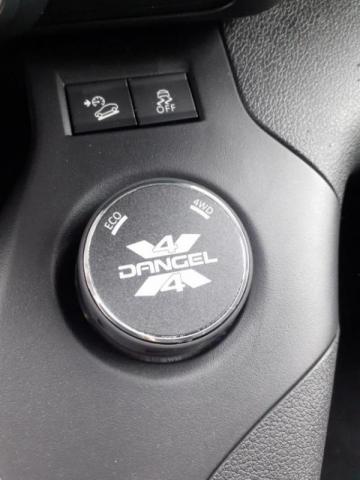 Dangel Partner image 1