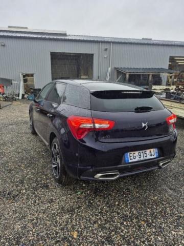 Ds Ds 5 image 4