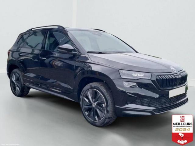 Skoda Karoq image 6
