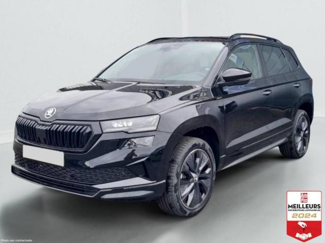 Skoda Karoq image 1