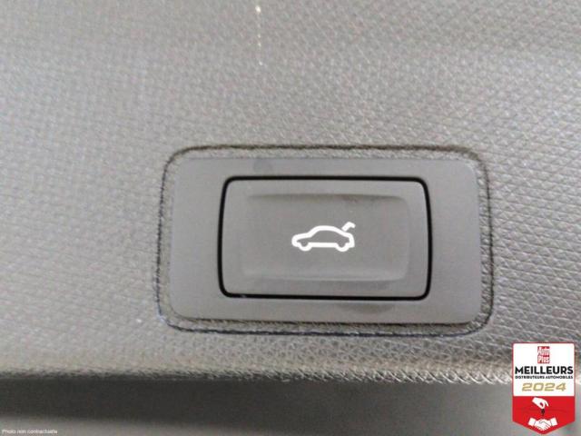 Cupra Terramar image 5