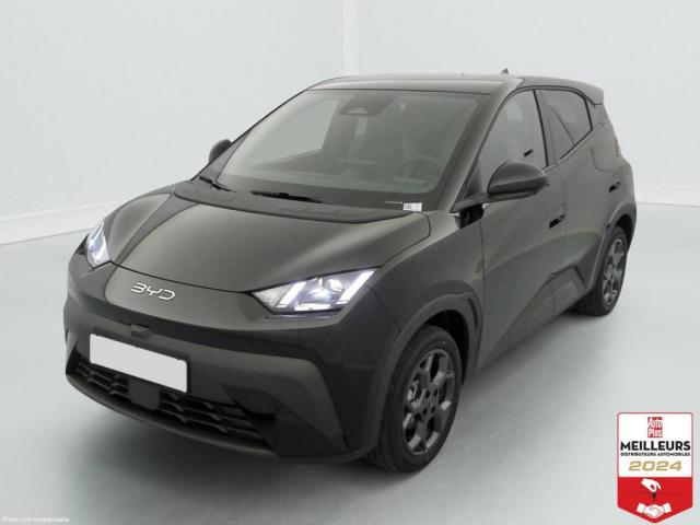 Byd Dolphin Surf 43.2 Kwh 156 Ch Comfort