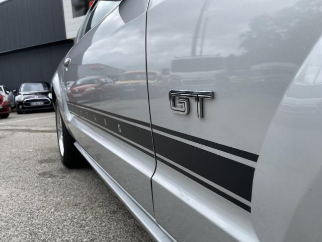 Ford Mustang image 1