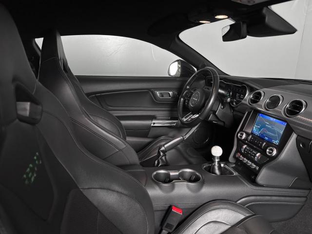 Ford Mustang image 1