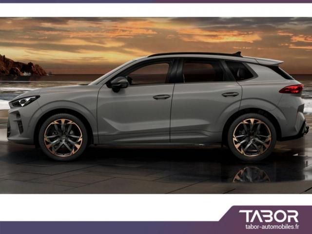 Cupra Terramar image 8