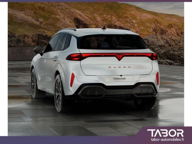 Cupra Terramar image 1