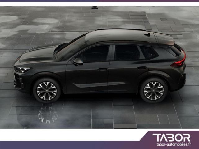 Cupra Terramar image 9