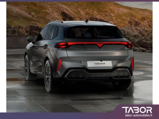 Cupra Terramar image 6