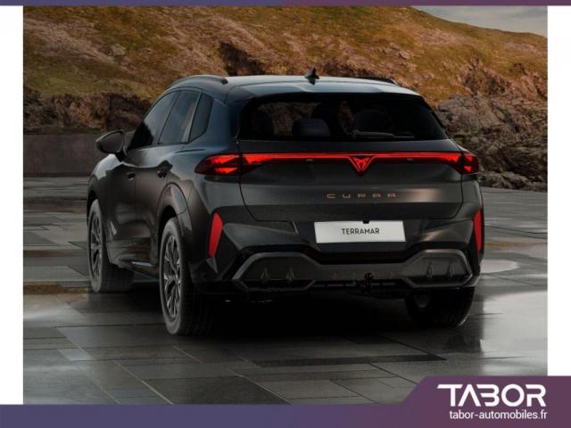 Cupra Terramar image 9