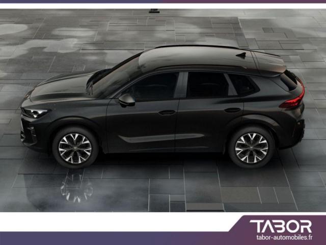 Cupra Terramar image 9