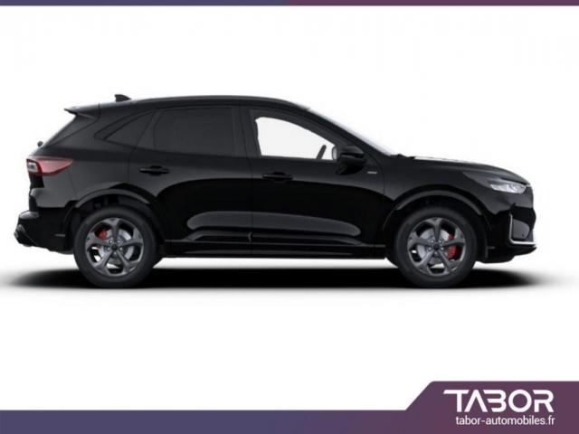 Ford Kuga image 1