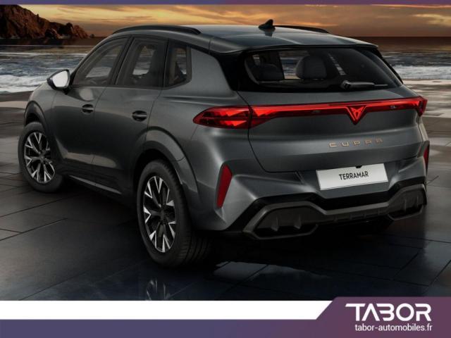 Cupra Terramar image 6