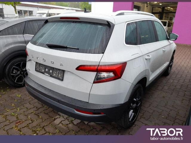 Skoda Karoq image 6