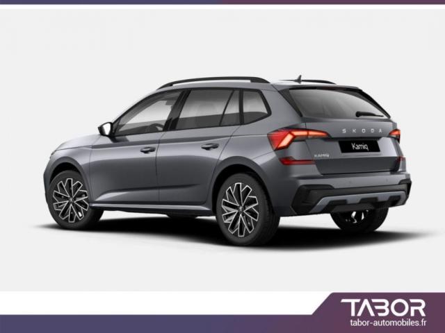 Skoda Kamiq image 2