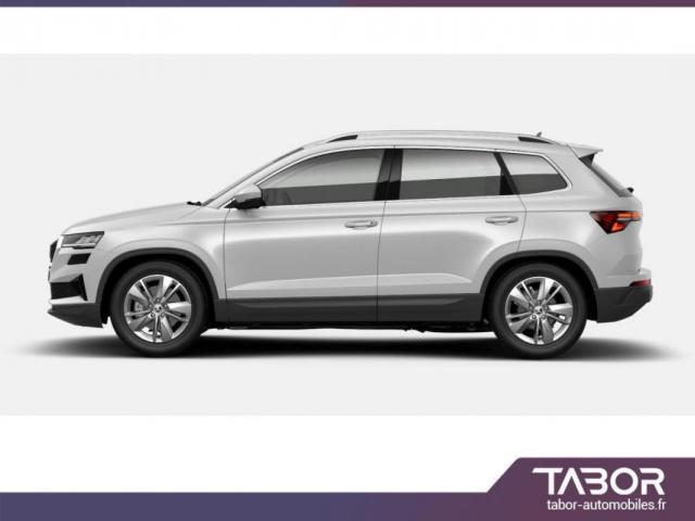Skoda Karoq image 2