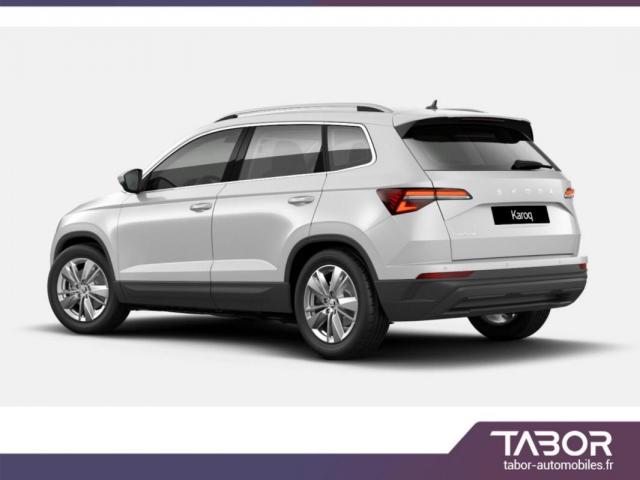 Skoda Karoq image 4