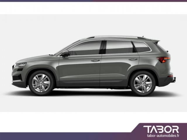 Skoda Karoq image 1