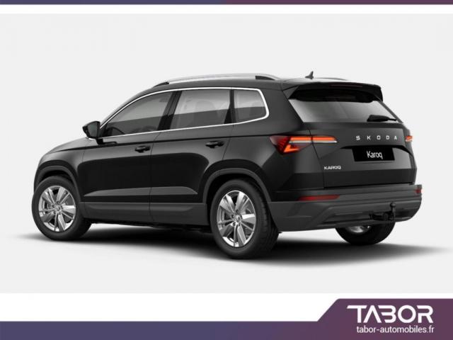 Skoda Karoq image 6