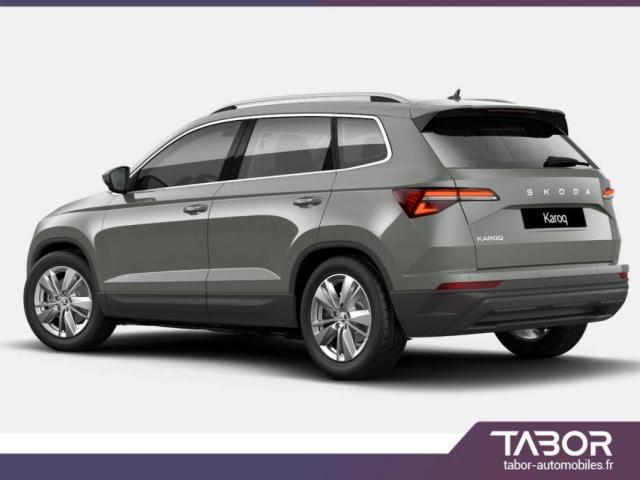 Skoda Karoq image 6