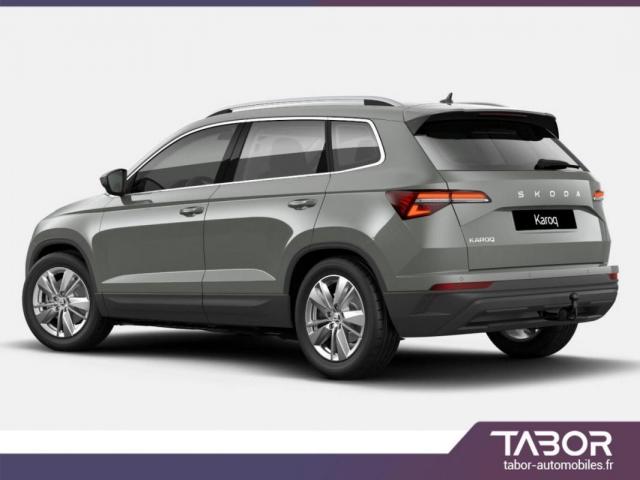 Skoda Karoq image 2