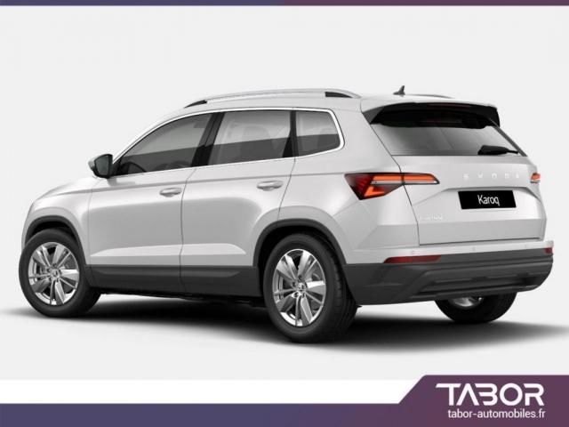 Skoda Karoq image 6