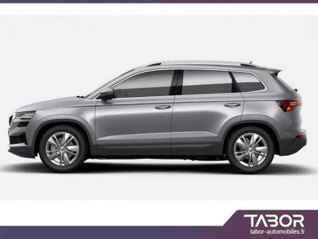 Skoda Karoq image 1