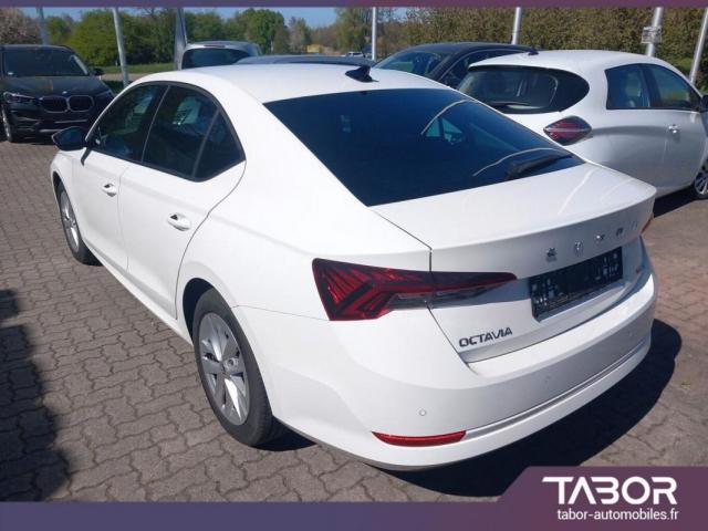 Skoda Octavia image 6