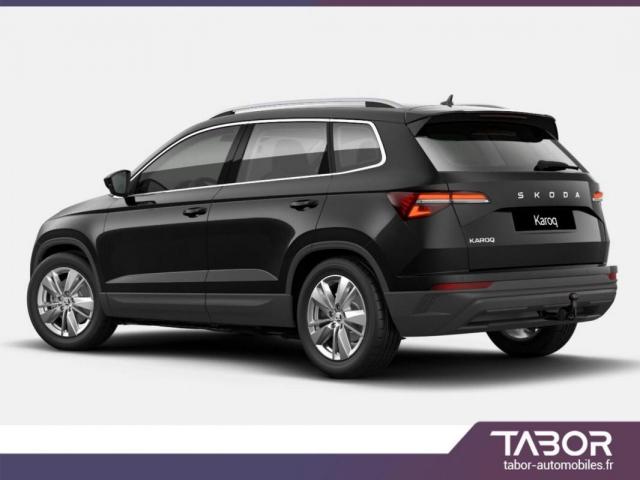Skoda Karoq image 1