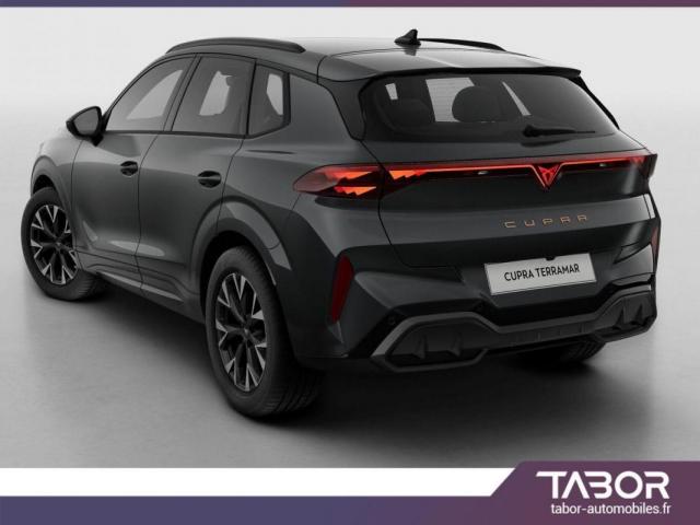 Cupra Terramar image 8