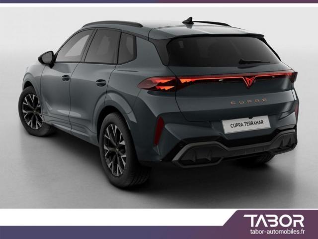 Cupra Terramar image 9