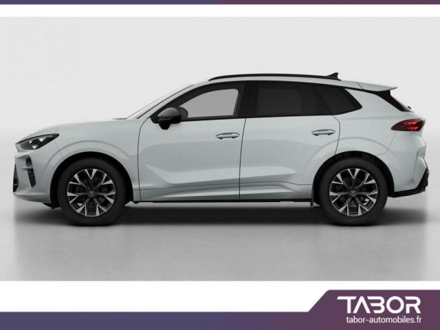 Cupra Terramar image 5