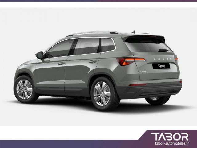 Skoda Karoq image 2