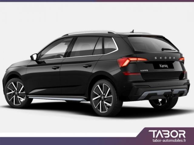Skoda Kamiq image 2