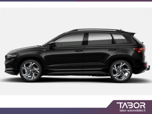 Skoda Karoq image 2