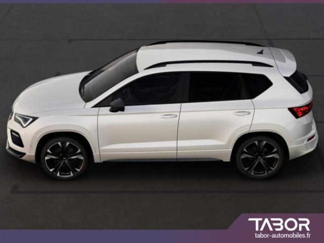 Cupra Ateca image 7