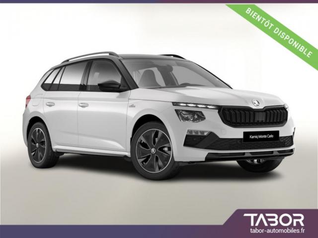 Skoda Kamiq Tsi 116 Dsg Montec Pano Matrix Cam