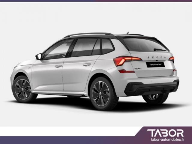 Skoda Kamiq image 1