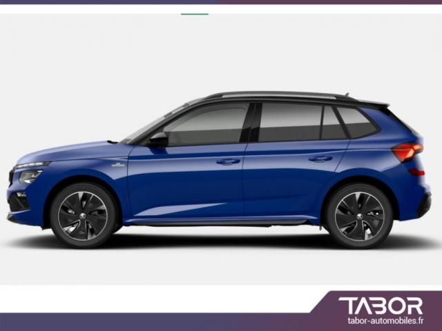 Skoda Kamiq image 1