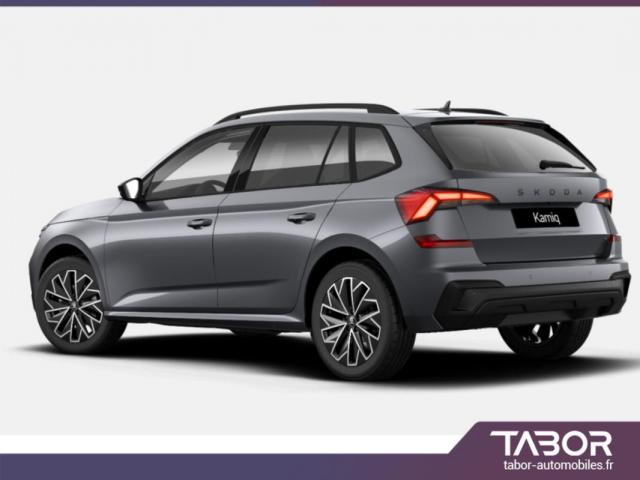 Skoda Kamiq image 3