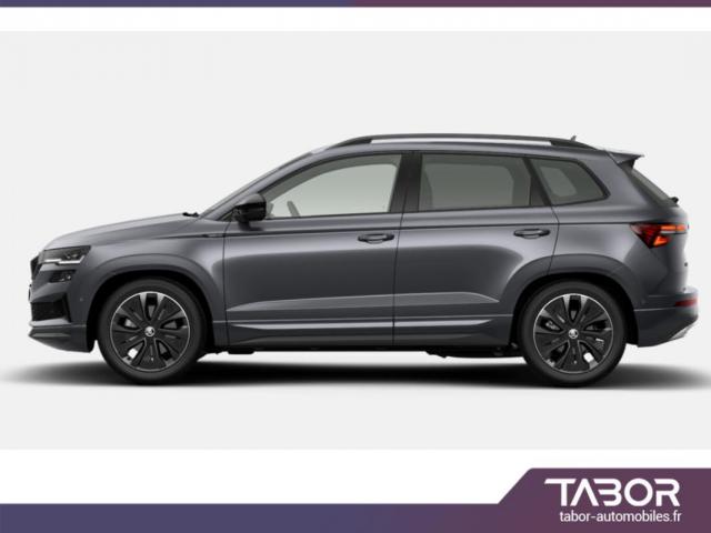 Skoda Karoq image 9