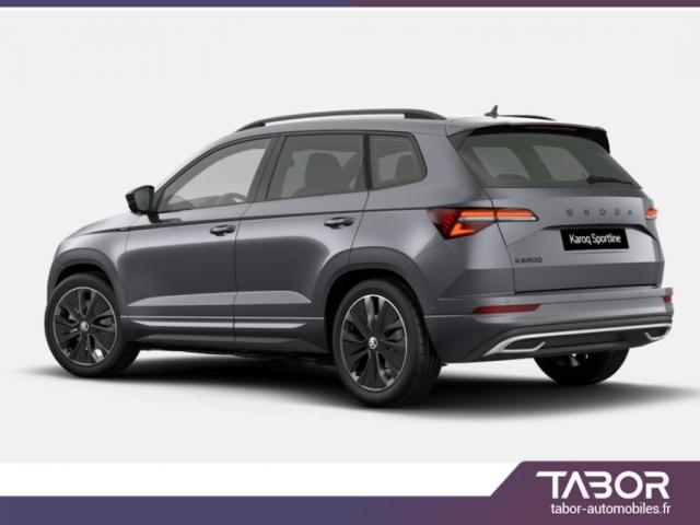 Skoda Karoq image 1