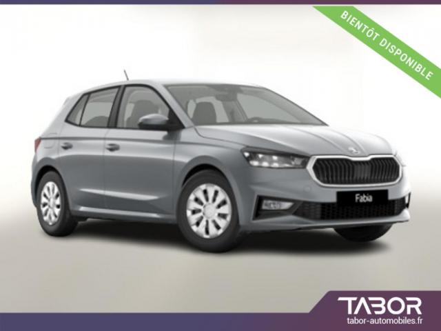 Skoda Fabia 116 Dsg Selec Siegeschauf Cam Radar